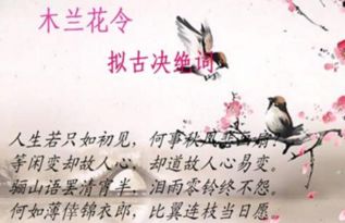 关于谈人生的连续诗句