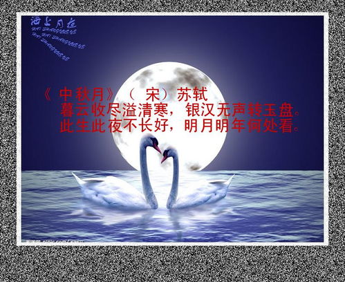 朗诵,诗句,中秋