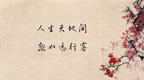 优美句子及古诗句