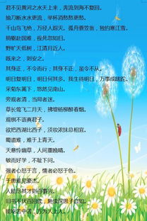 山河,诗句,祖国,小学