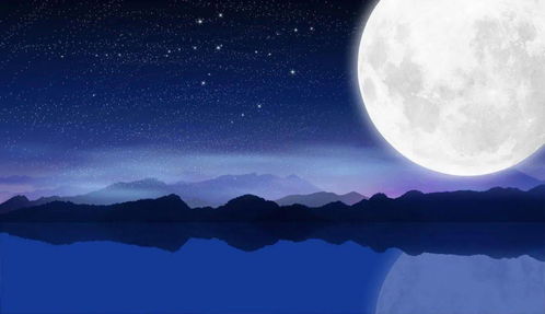 诗句,夜晚,天空