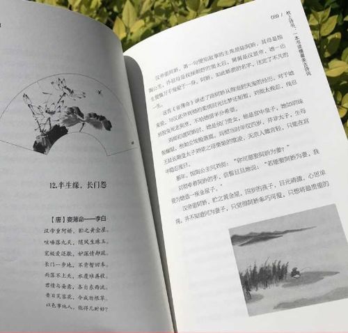 诗句,隐藏