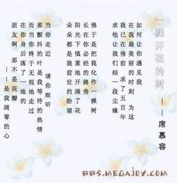 席慕蓉关于花的诗句