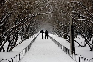关于雪的诗句意境不同