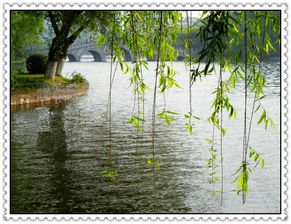 关于春景的诗句古诗