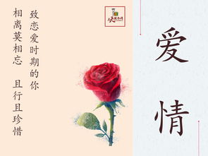 大枣,诗句,爱情