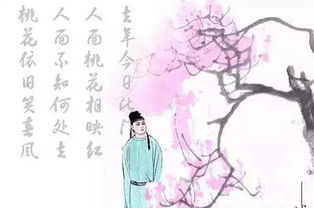 关于人面桃花的诗句