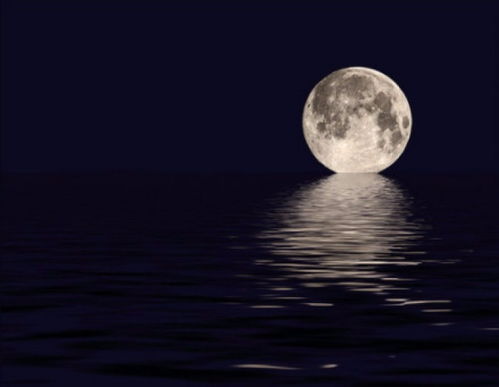 关于月亮的诗句完整