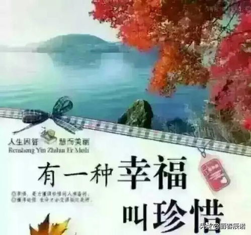关于珍惜当下生活的诗句