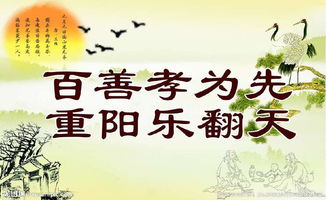 尊敬孝敬父母的古诗句