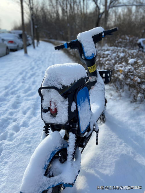 诗句,于雪