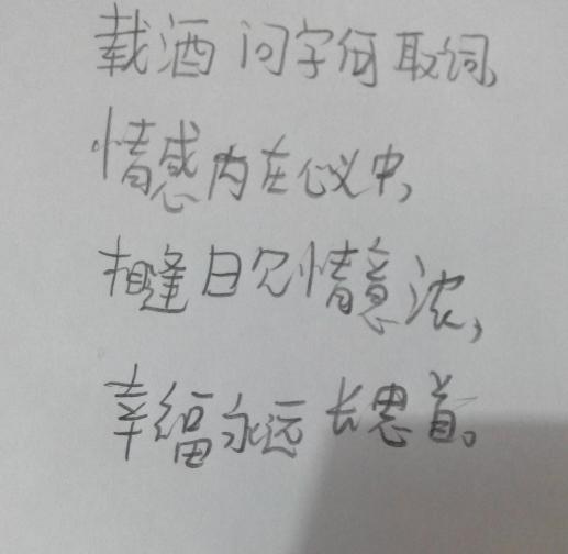 关于家庭心累的诗句