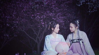 关于姊妹亲情的诗句