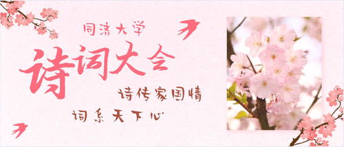 关于柚子的诗句文章及歌曲