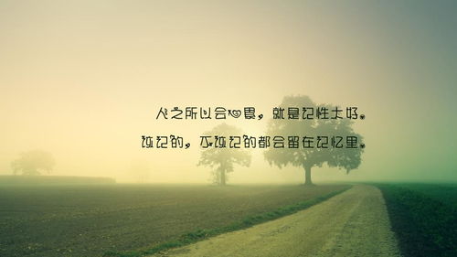 关于人累心更累的诗句