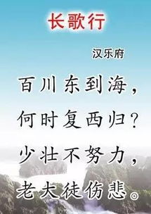 关于不努力的诗句是