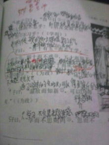 诗句,所得