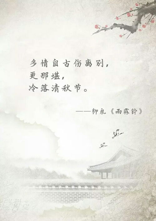 有关青丝的爱情诗句,三千青丝爱情诗句,有关一缕青丝的爱情诗句