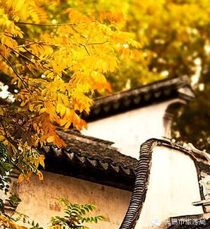 关于惠山寺的诗句