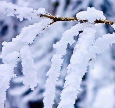 描写雪的诗句古诗大