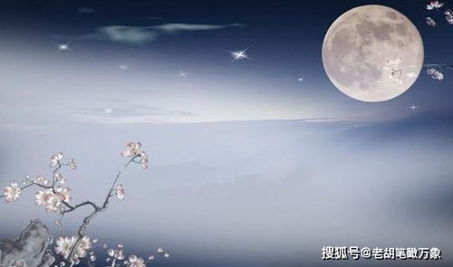 自己的,诗句,人知,感受