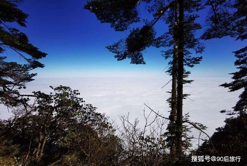 苏轼关于春雪诗句