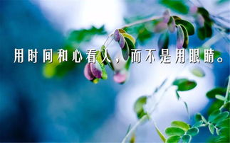诗句,简短,励志,阳光