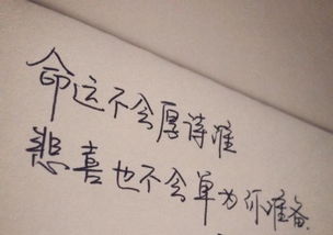 关于坚持到底的古诗句