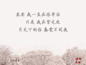 关于相逢相遇的诗句