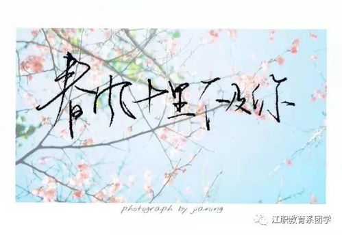 百度文库关于桃花的古诗句