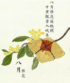 写桂花的诗句古诗词,赞美桂花的诗句古诗词,带有桂花的诗句古诗词