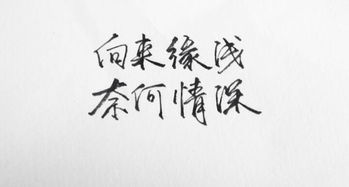 关于缘浅的诗句