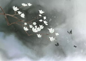 诗句,红尘,离去
