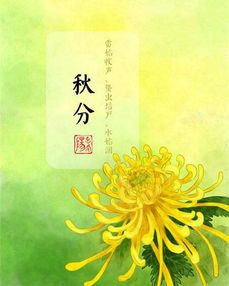 关于秋分抒情的诗句