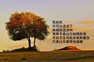 关于我是的诗句