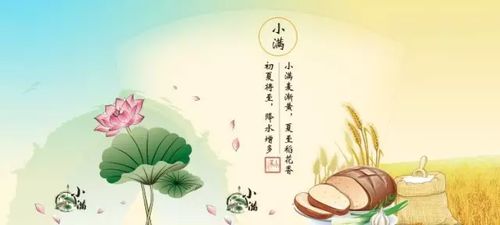 有关节气的谚语或诗句,有关小雪节气的谚语诗句,关于节气雨水的诗句和谚语