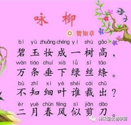 诗句,小孩,聪明
