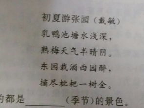 古诗中写色的诗句