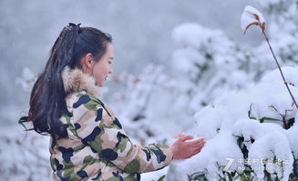 雪中美女古诗句