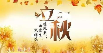 关于立秋日的诗句