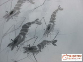 国画,诗句