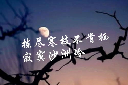 内心强大的古诗句,关于内心坚定的古诗句,落寞失落的古诗句