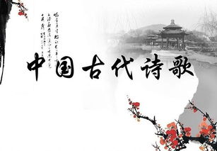 有关桃花的诗句古诗词,含桃花的诗句古诗词,赞美桃花的诗句古诗词