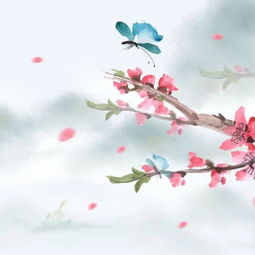 古诗词,诗句,描写,中带