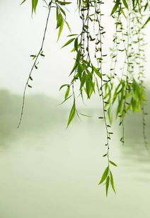 诗句,急促,水流