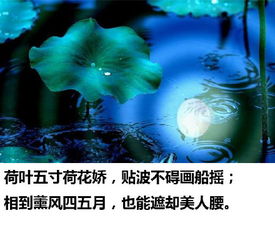 诗情画意,诗句,形容,小学