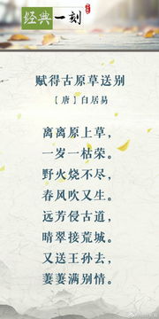 赠给,诗句,同学