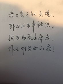 诗句,比喻,流逝,青春