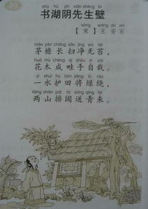 古诗书湖阴先生壁的诗句