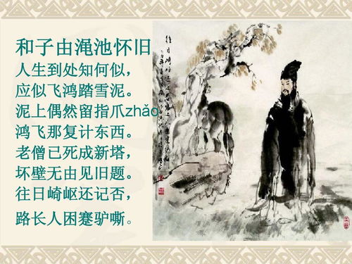 诗句,坎坷,人生